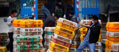 湖南新增4例人感染H7N9流感病例 长沙活禽市场休市